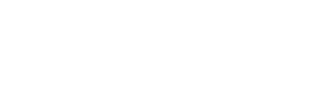 The Bright Spots, from Rally