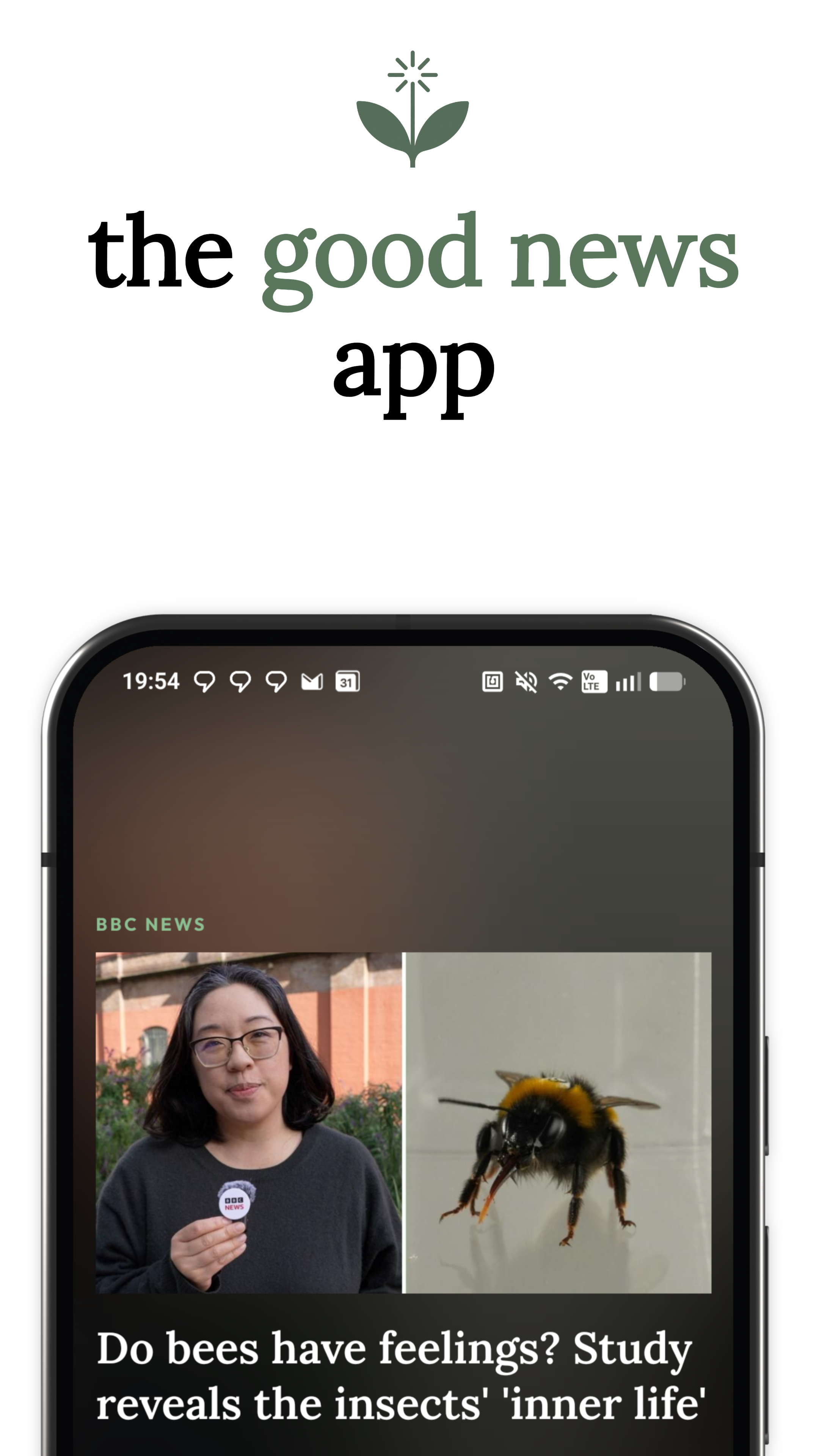 The Rally app home screen showing a BBC News story about bees